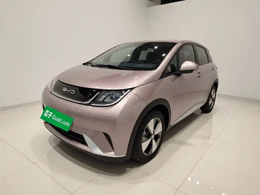 BYD Dolphin, 2023 — фото продавца с che168