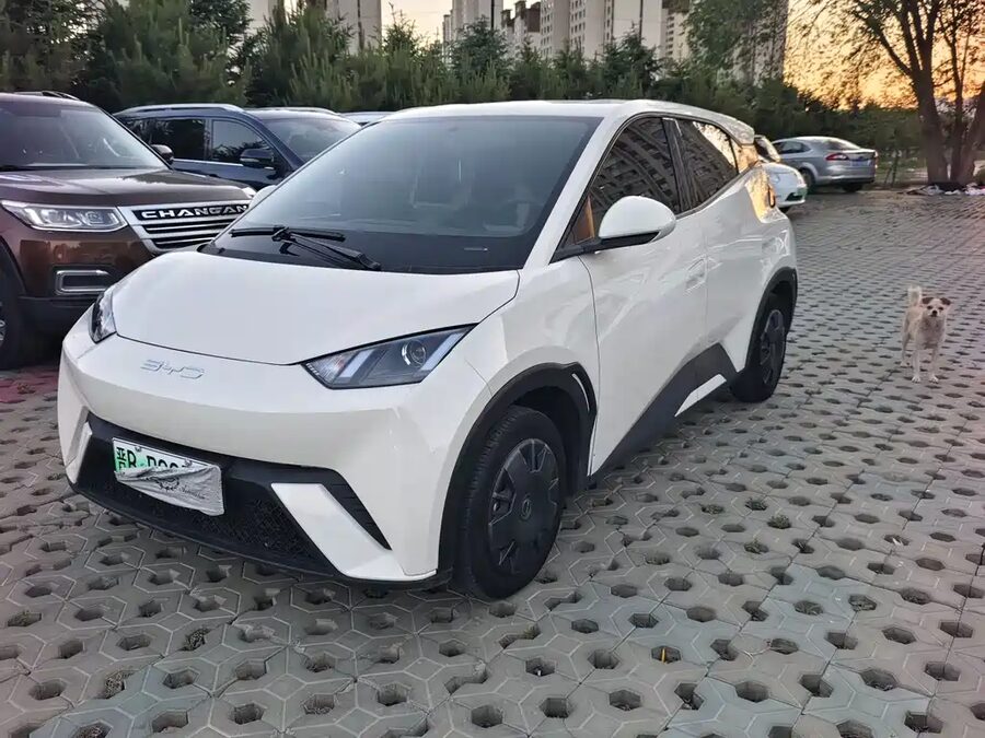 BYD Seagull, 2023 — фото продавца с che168
