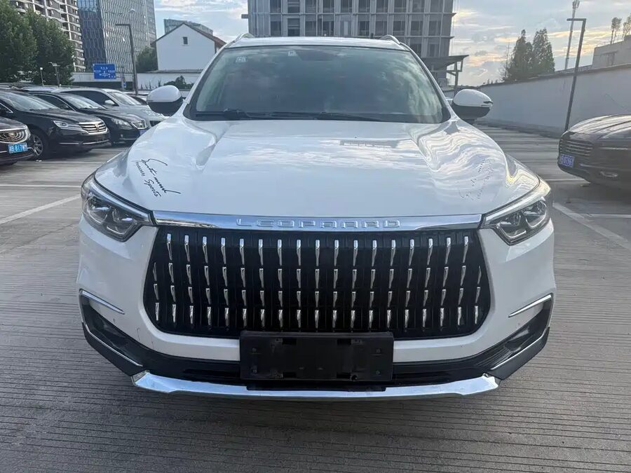 Leopaard Mattu, 2019 — фото продавца с che168