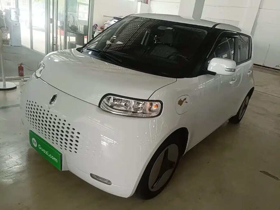 Ora Ora White Cat, 2021 — фото продавца с che168