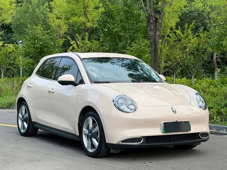 Ora Ora Good Cat GT, 2024 — фото продавца с che168