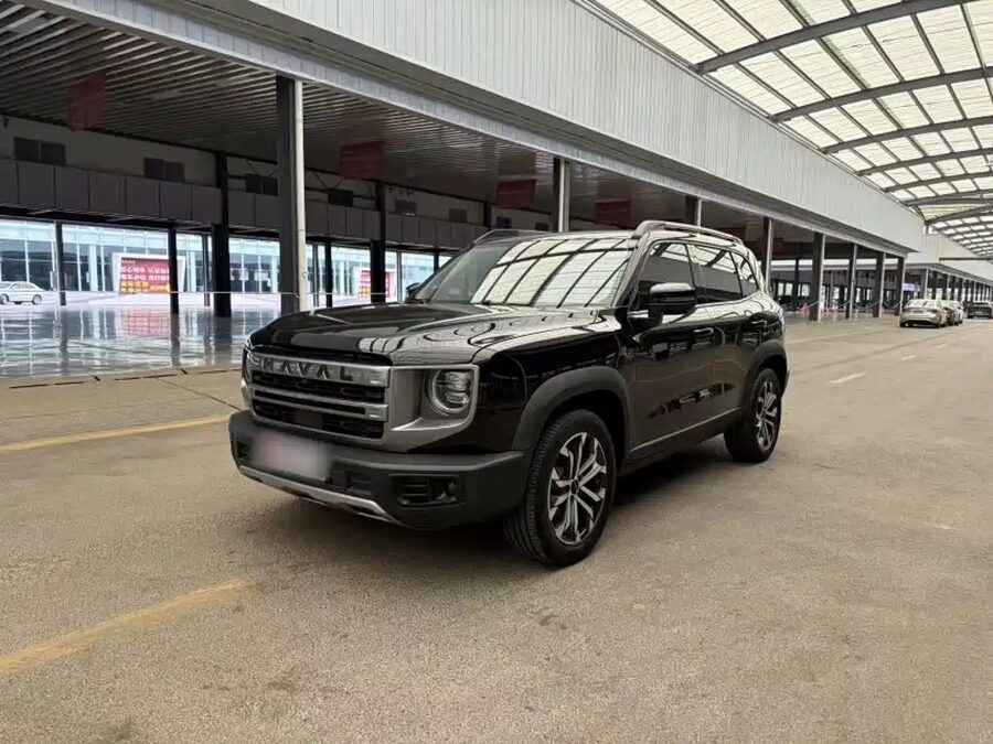Haval Big Dog, 2024 — фото продавца с che168
