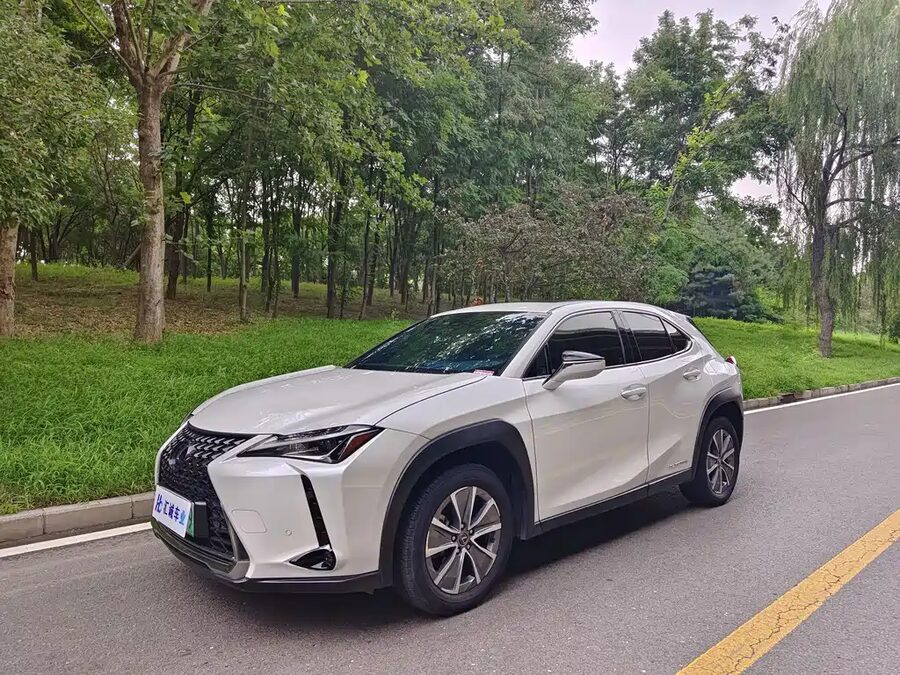 Lexus UX New Energy, 2023 — фото продавца с che168