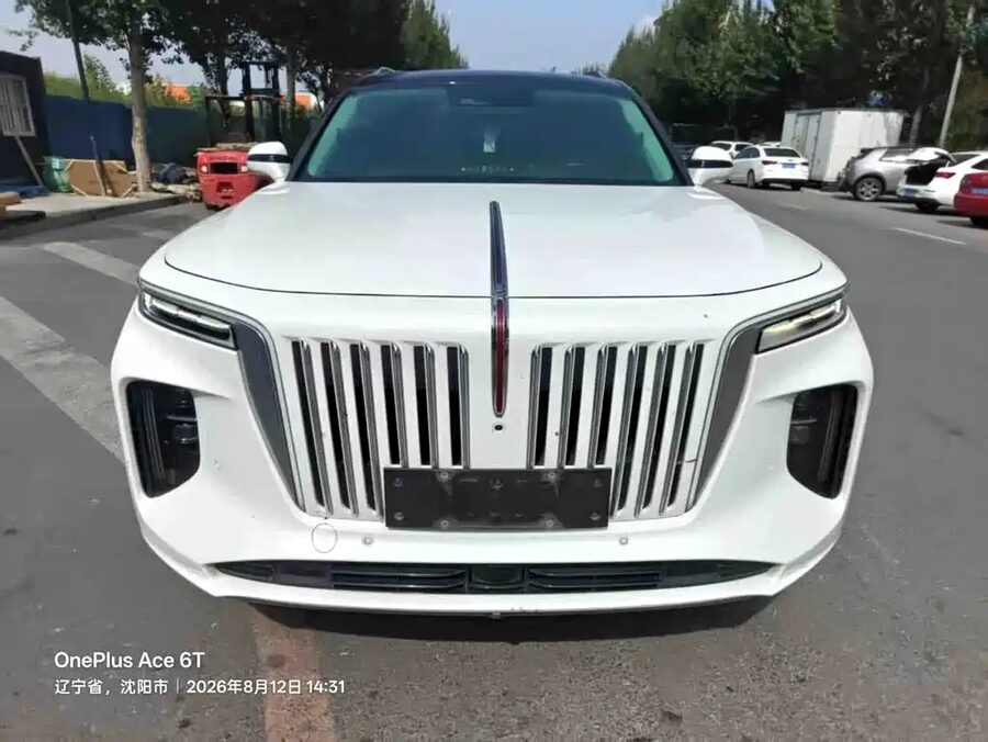 Hongqi Hongqi E-HS9, 2021 — фото продавца с che168
