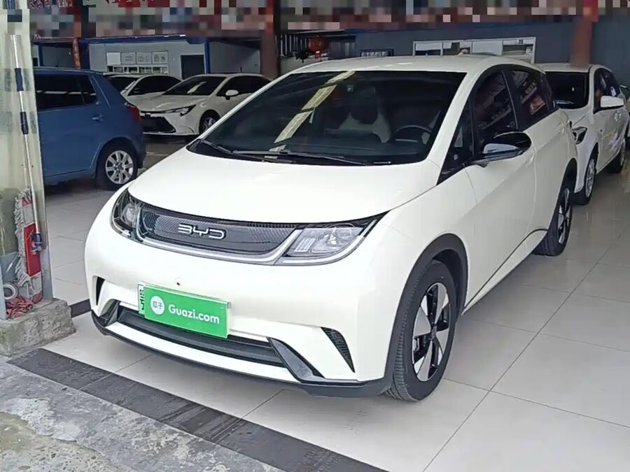 BYD Dolphin, 2023 — фото продавца с che168