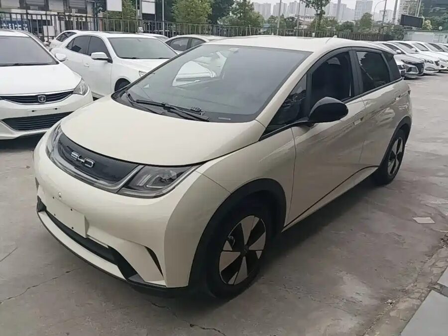 BYD Dolphin, 2023 — фото продавца с che168