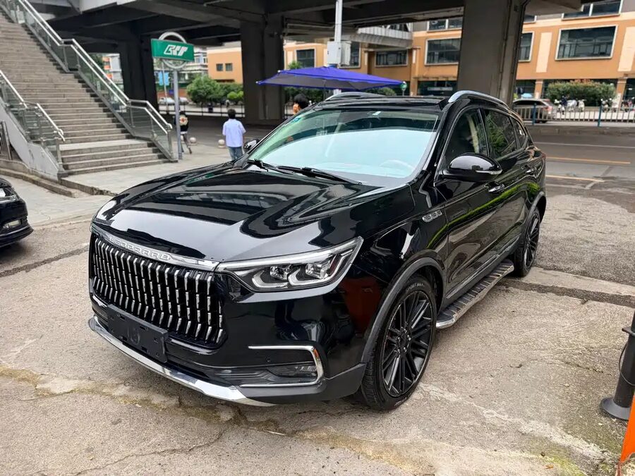 Leopaard Mattu, 2019 — фото продавца с che168