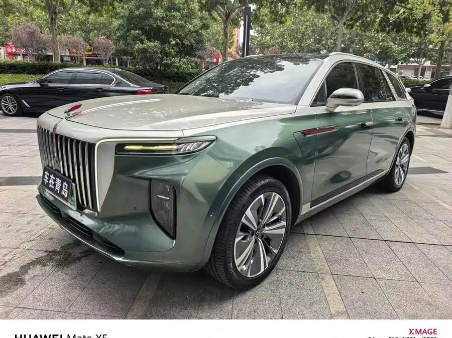Hongqi Hongqi E-HS9, 2021 — фото продавца с che168