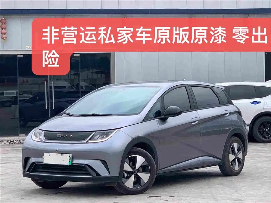 BYD Dolphin, 2023 — фото продавца с che168