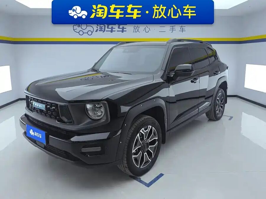 Haval Big Dog PLUS New Energy, 2024 — фото продавца с che168