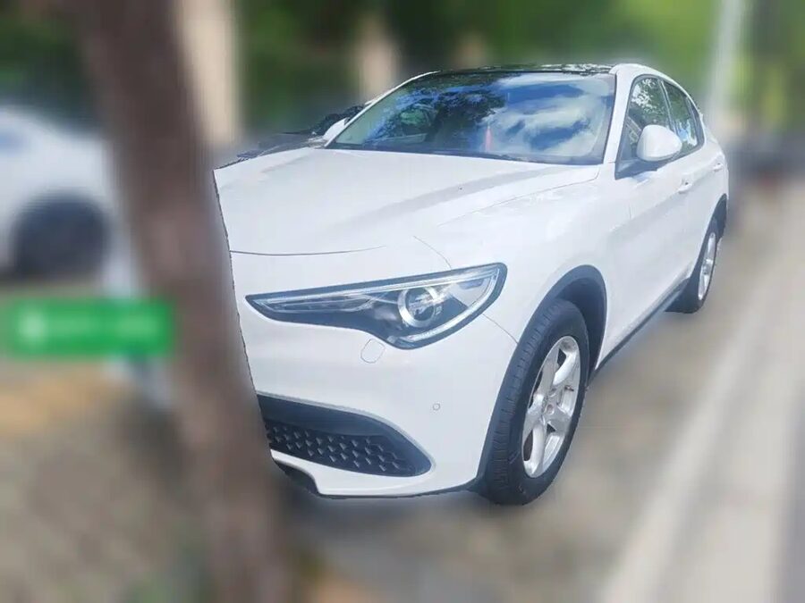 Alfa Romeo Stelvio, 2019 — фото продавца с che168