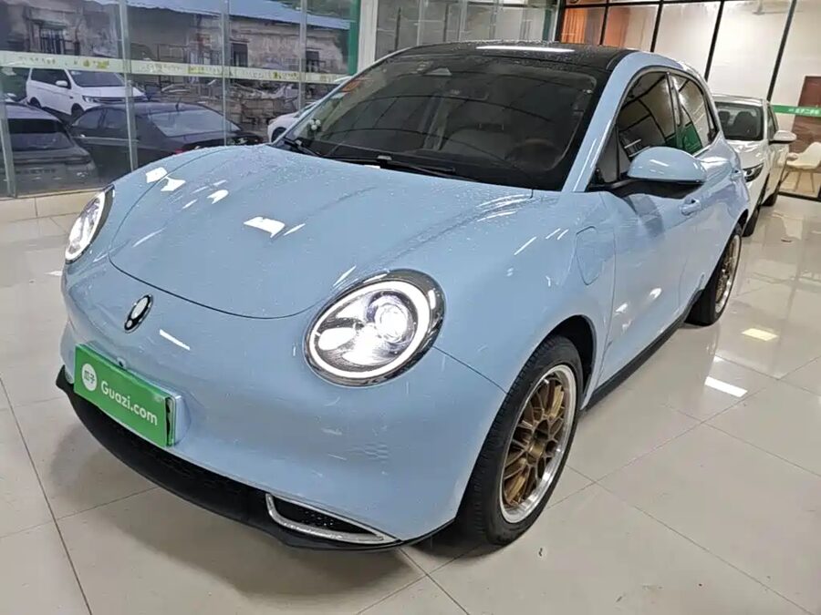 Ora Ora Good Cat, 2024 — фото продавца с che168