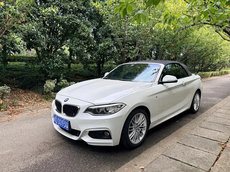 BMW 2 Series (Import), 2015 — фото продавца с che168