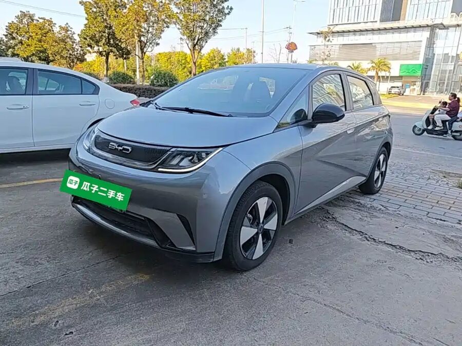 BYD Dolphin, 2023 — фото продавца с che168