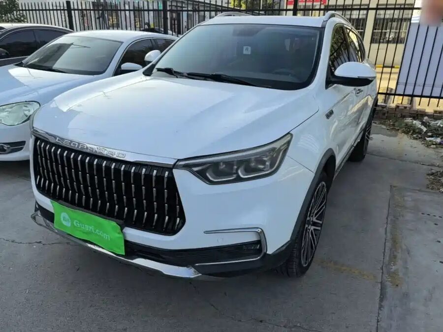 Leopaard Mattu, 2019 — фото продавца с che168