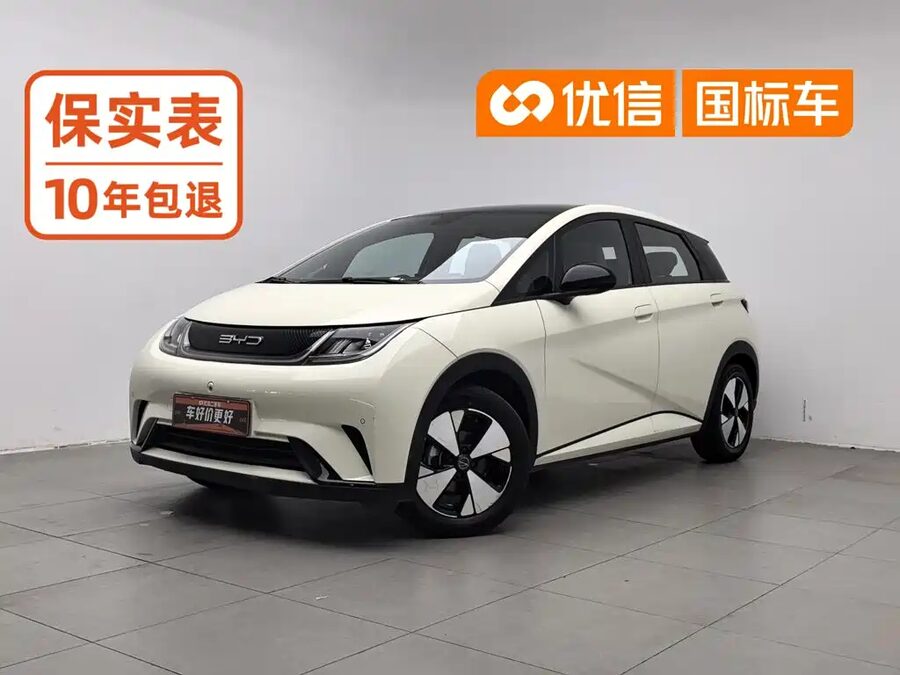 BYD Dolphin, 2023 — фото продавца с che168