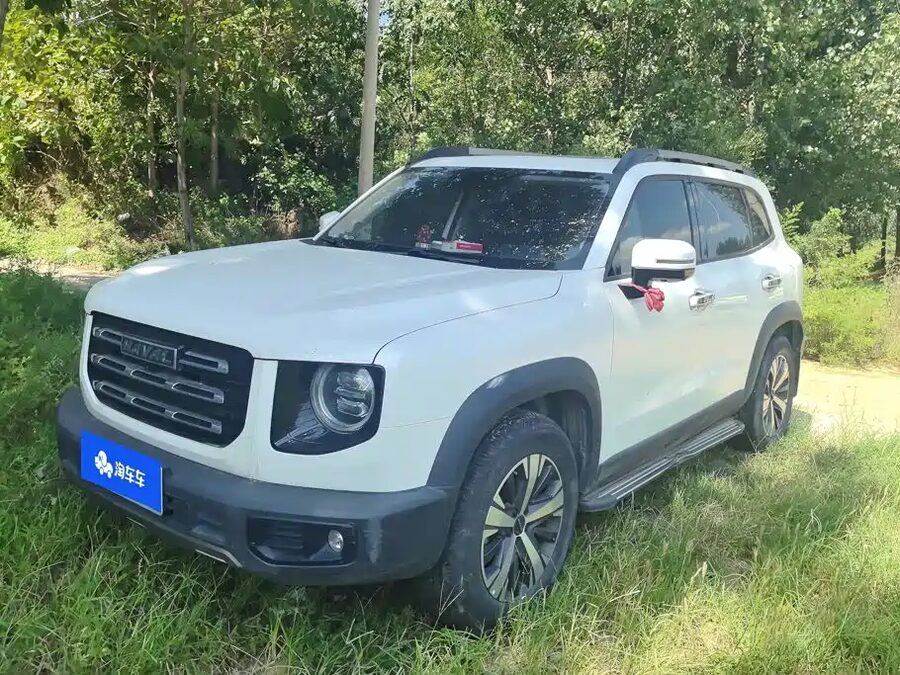 Haval Big Dog, 2021 — фото продавца с che168