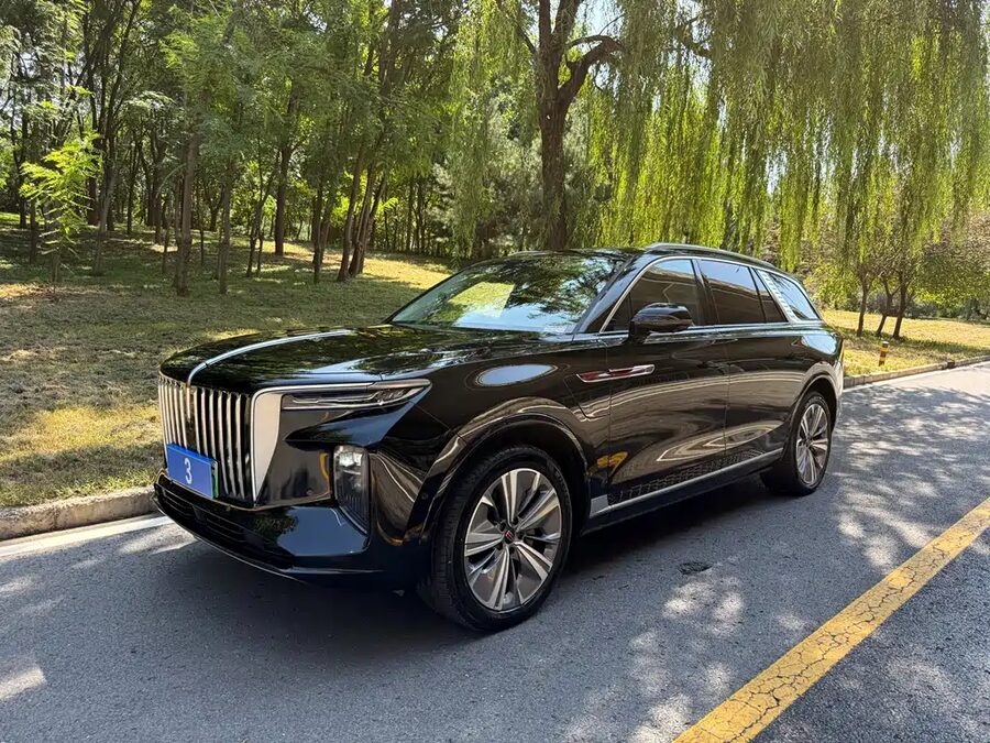 Hongqi Hongqi E-HS9, 2023 — фото продавца с che168