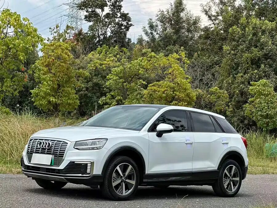 Audi Q2L e-tron, 2020 — фото продавца с che168