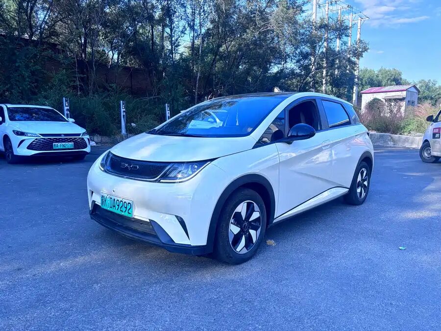 BYD Dolphin, 2024 — фото продавца с che168