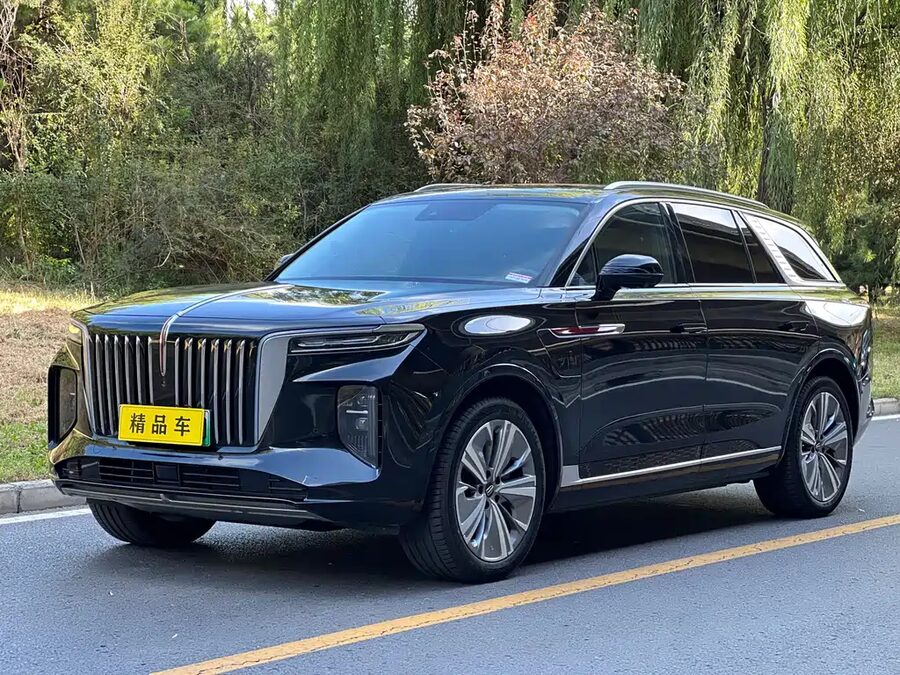 Hongqi Hongqi E-HS9, 2023 — фото продавца с che168