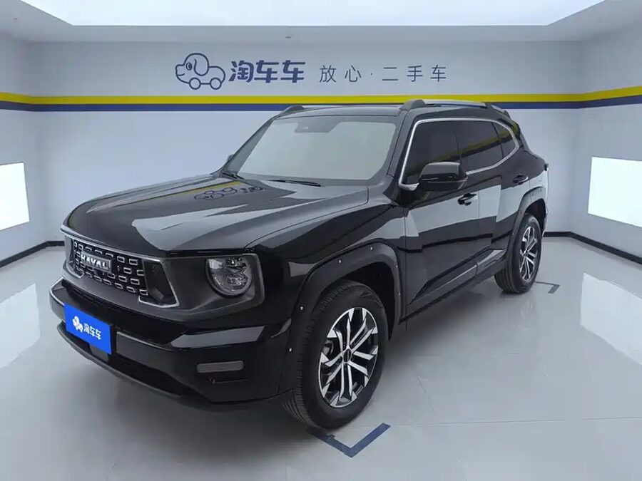 Haval Big Dog PLUS, 2024 — фото продавца с che168