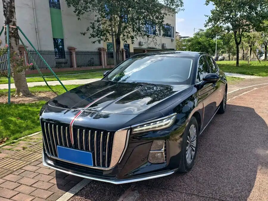 Hongqi Hongqi H5, 2023 — фото продавца с che168