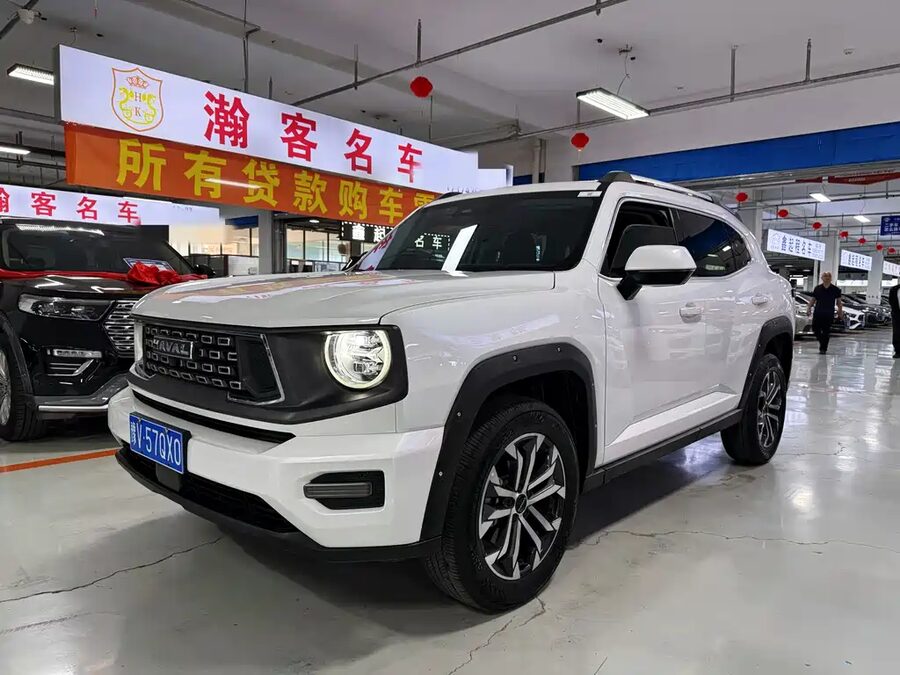 Haval Big Dog PLUS, 2023 — фото продавца с che168