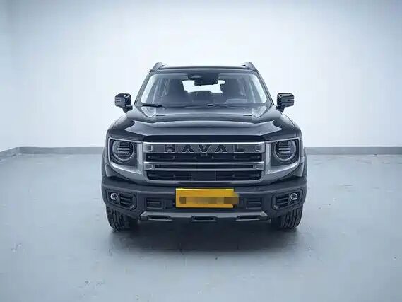 Haval Big Dog, 2023 — фото продавца с che168