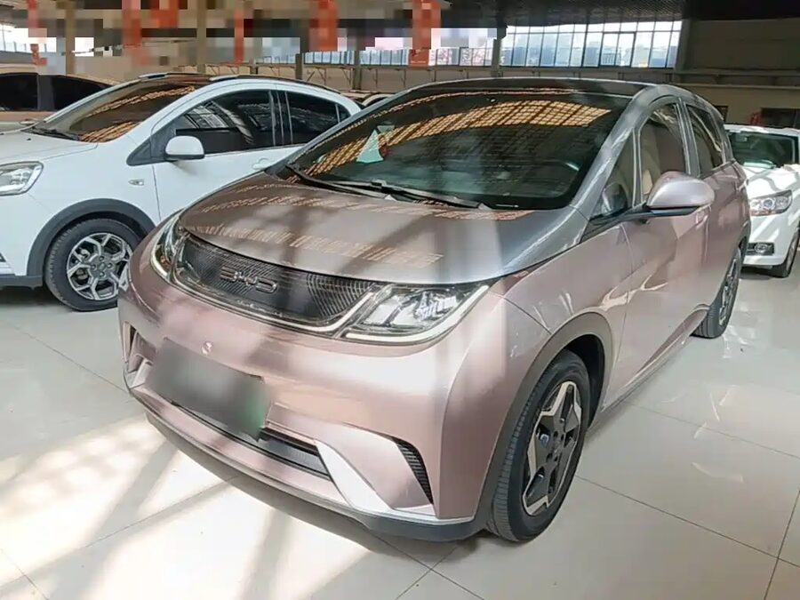 BYD Dolphin, 2022 — фото продавца с che168