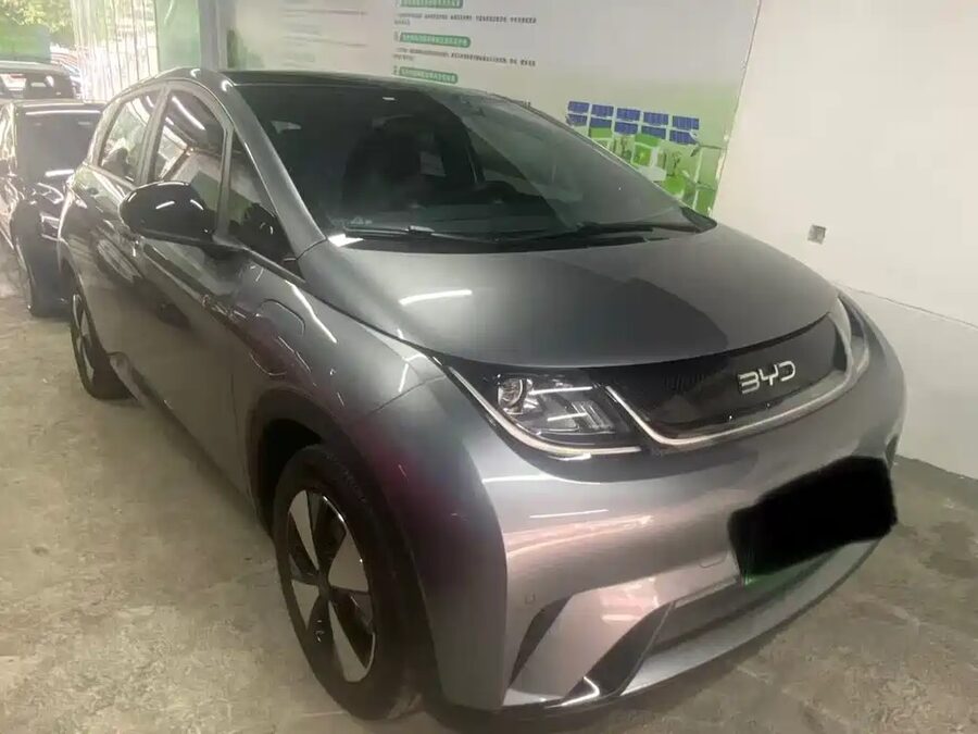 BYD Dolphin, 2024 — фото продавца с che168