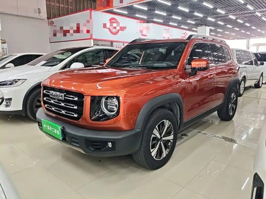 Haval Big Dog, 2020 — фото продавца с che168