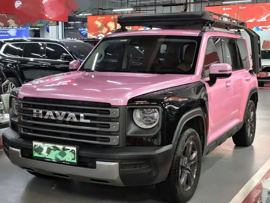 Haval Menglong New Energy, 2023 — фото продавца с che168