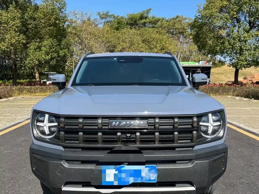 Haval Cool Dog, 2022 — фото продавца с che168