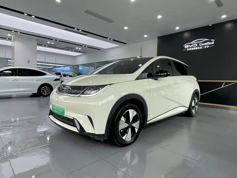 BYD Dolphin, 2023 — фото продавца с che168