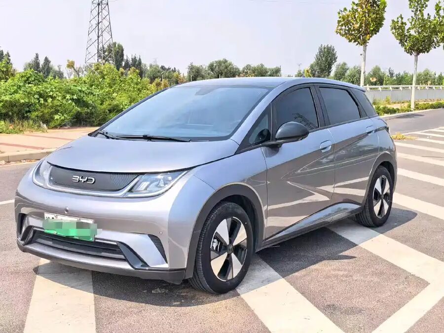 BYD Dolphin, 2024 — фото продавца с che168