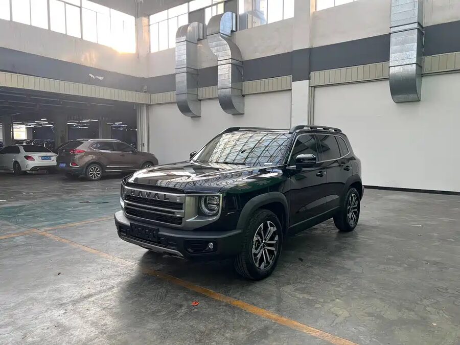Haval Big Dog, 2024 — фото продавца с che168