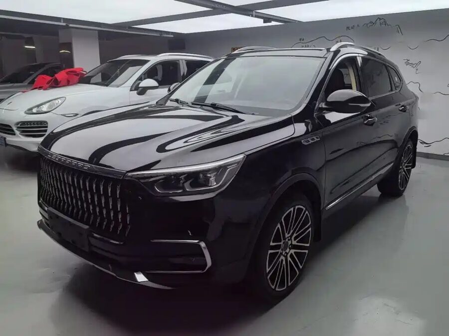 Leopaard Mattu, 2019 — фото продавца с che168