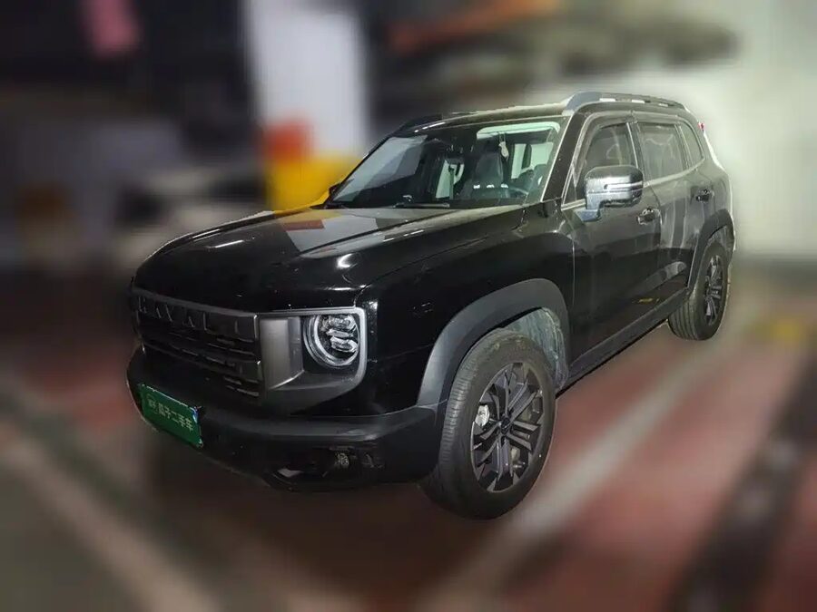 Haval Big Dog, 2024 — фото продавца с che168