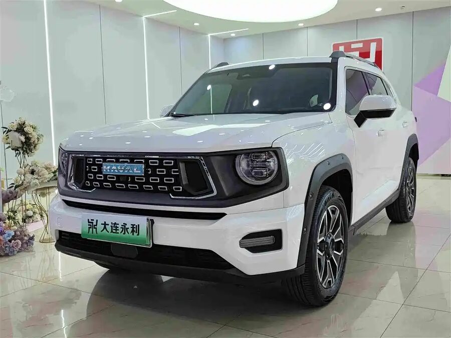 Haval Big Dog PLUS New Energy, 2024 — фото продавца с che168