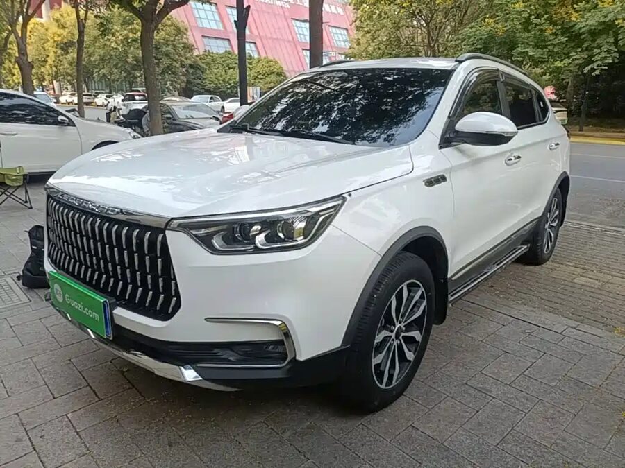 Leopaard Mattu, 2020 — фото продавца с che168