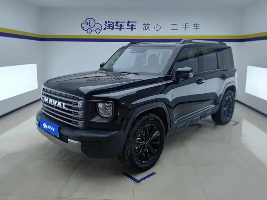 Haval Menglong New Energy, 2024 — фото продавца с che168