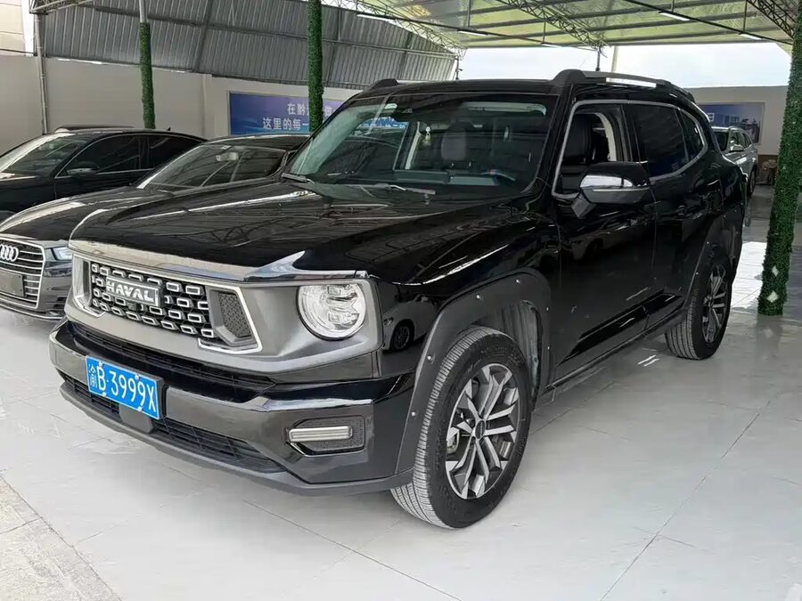 Haval Big Dog PLUS, 2024 — фото продавца с che168