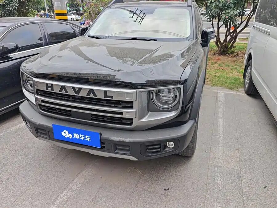 Haval Big Dog, 2024 — фото продавца с che168