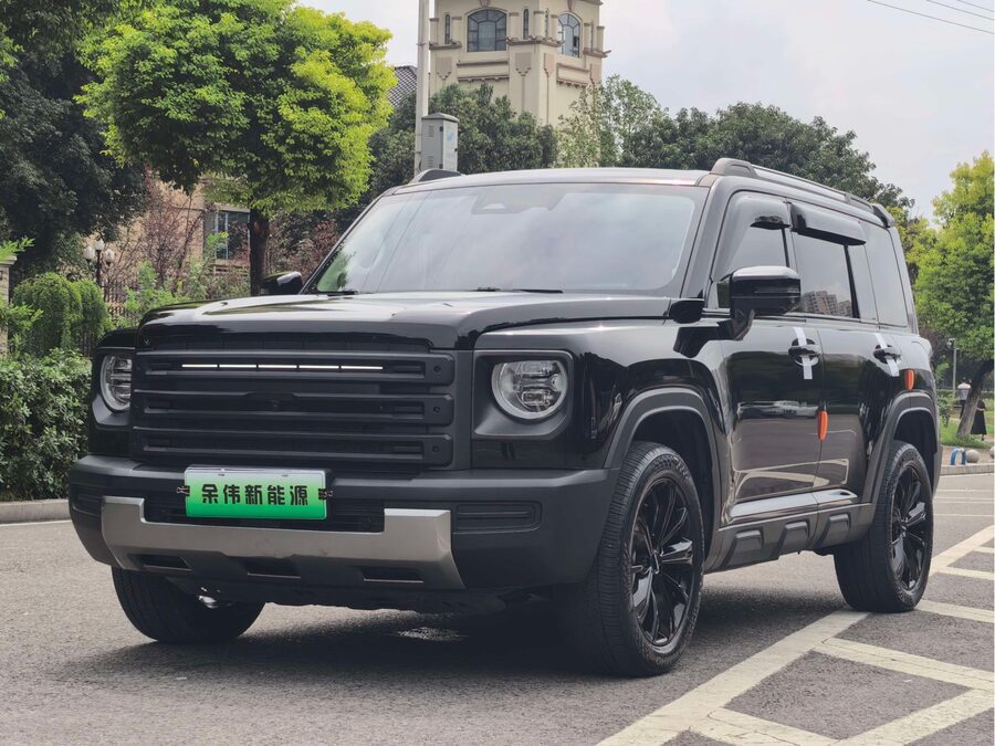 Haval Menglong New Energy, 2023 — фото продавца с che168