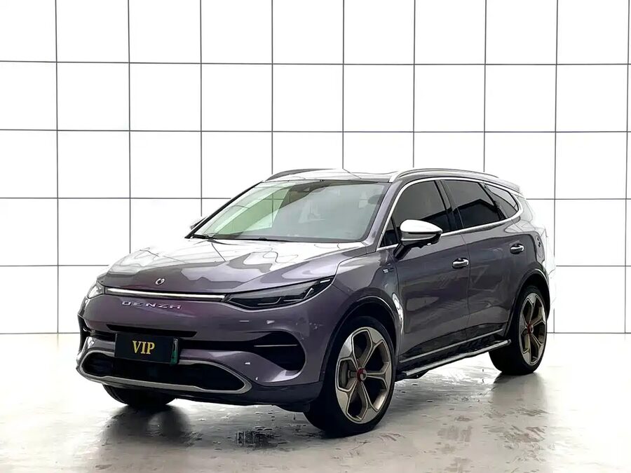 Denza Denza X, 2020 — фото продавца с che168