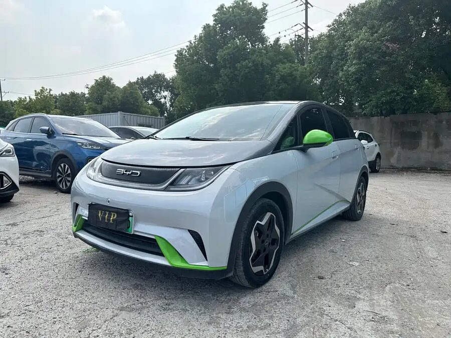 BYD Dolphin, 2022 — фото продавца с che168