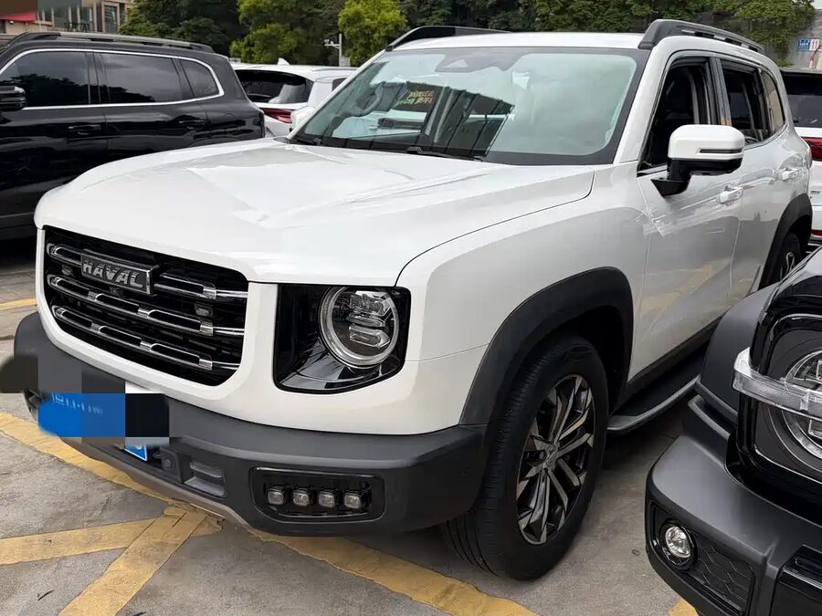Haval Big Dog, 2020 — фото продавца с che168