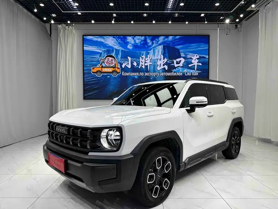 Haval Cool Dog, 2023 — фото продавца с che168