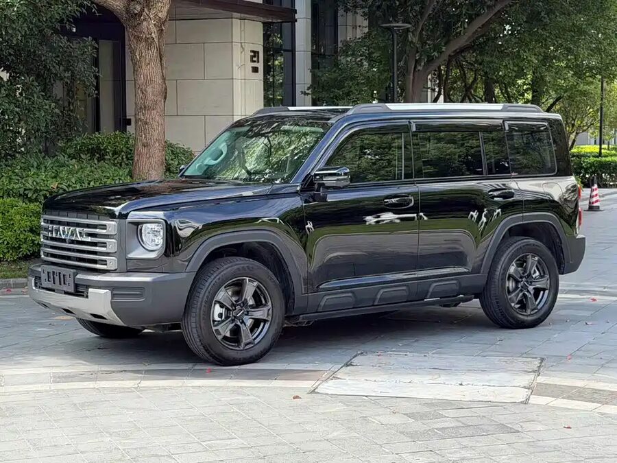 Haval Menglong New Energy, 2023 — фото продавца с che168